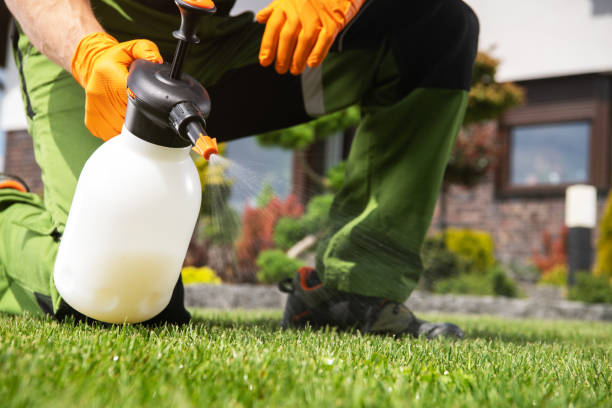 Best Termite Control Services  in Lake Delton, WI