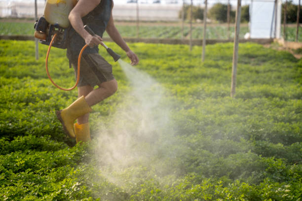 Best Exterminator Services  in Lake Delton, WI
