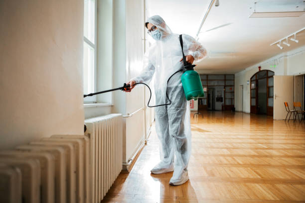 Best Insect Control  in Lake Delton, WI