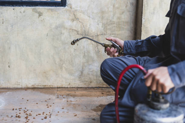 Best Mosquito Control Services  in Lake Delton, WI